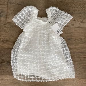 Zara Dreamy Organza Dress